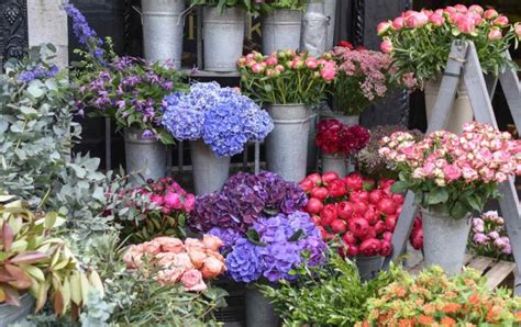 appleyard flowers|flower shop in london uk.